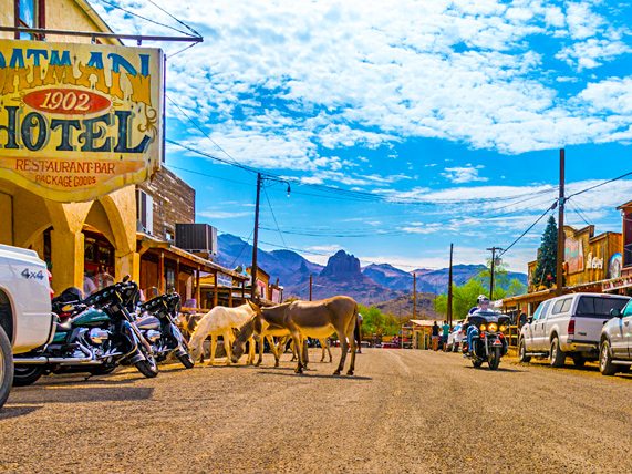 Oatman Arizona